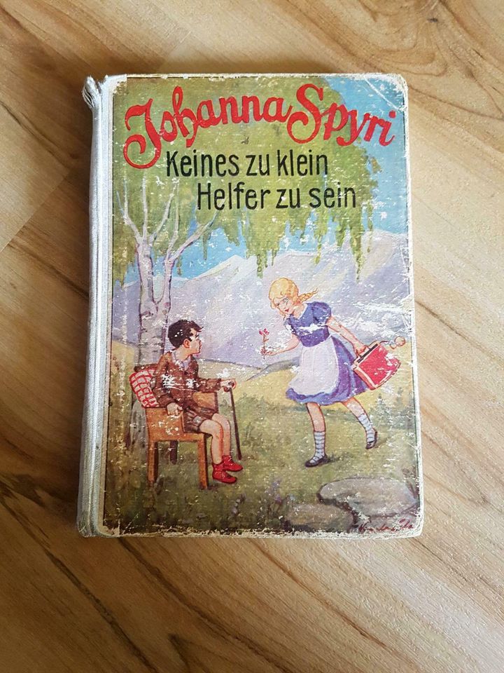 Johanna Spyri Keines zu klein Helfer zu sein alt Kinderbuch in Meldorf