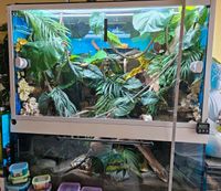 240L Terrarium/Aquaterrarium/Paludarium/Hamster B1,20xT0,42xH1,25 Hessen - Reinhardshagen Vorschau