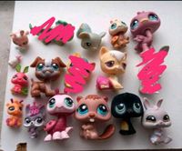 Lps Littlest pet-shop Set 4 Boxer Hase Babys Katze Maus Kr. München - Oberschleißheim Vorschau