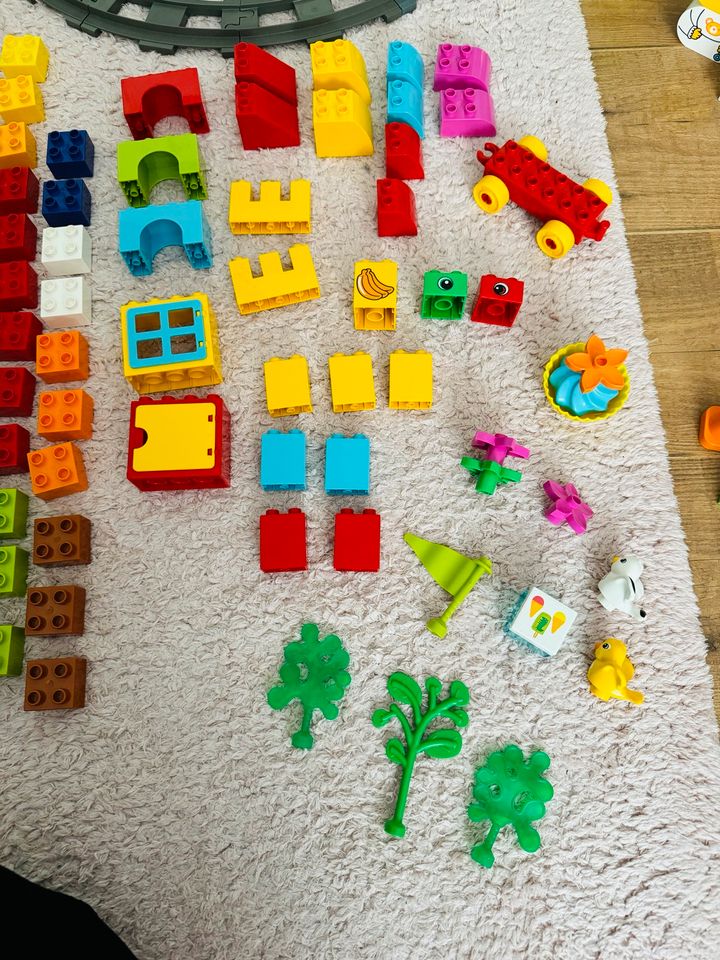 Lego Duplo Set Eisenbahn Steine Tiere Platte in Hamburg