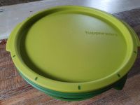 Tupperware: Micro-CombiGourmet 3 l (grün) Thüringen - Nordhausen Vorschau
