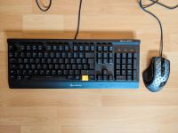 Sharkoon SKILLER SGK3 RGB Mechanische Tastatur + Drakonia Maus Hessen - Grebenstein Vorschau