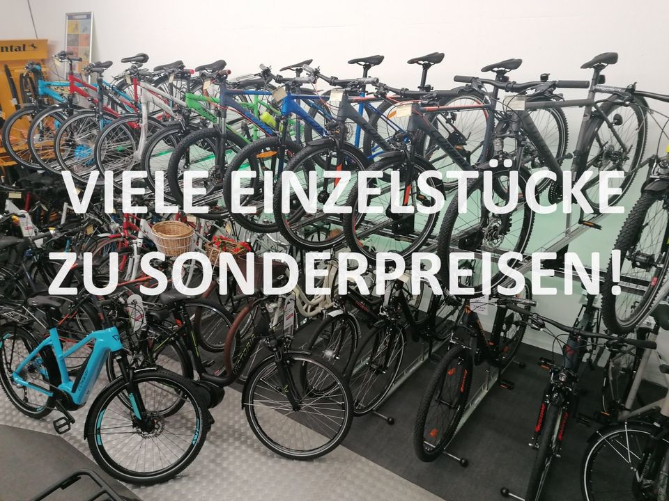 VICTORIA eManufaktur 11.9 Elektrofahrrad Neu 625Wh Akku in Clenze