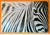 Zebra auf Leinwand 118 x 78 cm Nordrhein-Westfalen - Porta Westfalica Vorschau