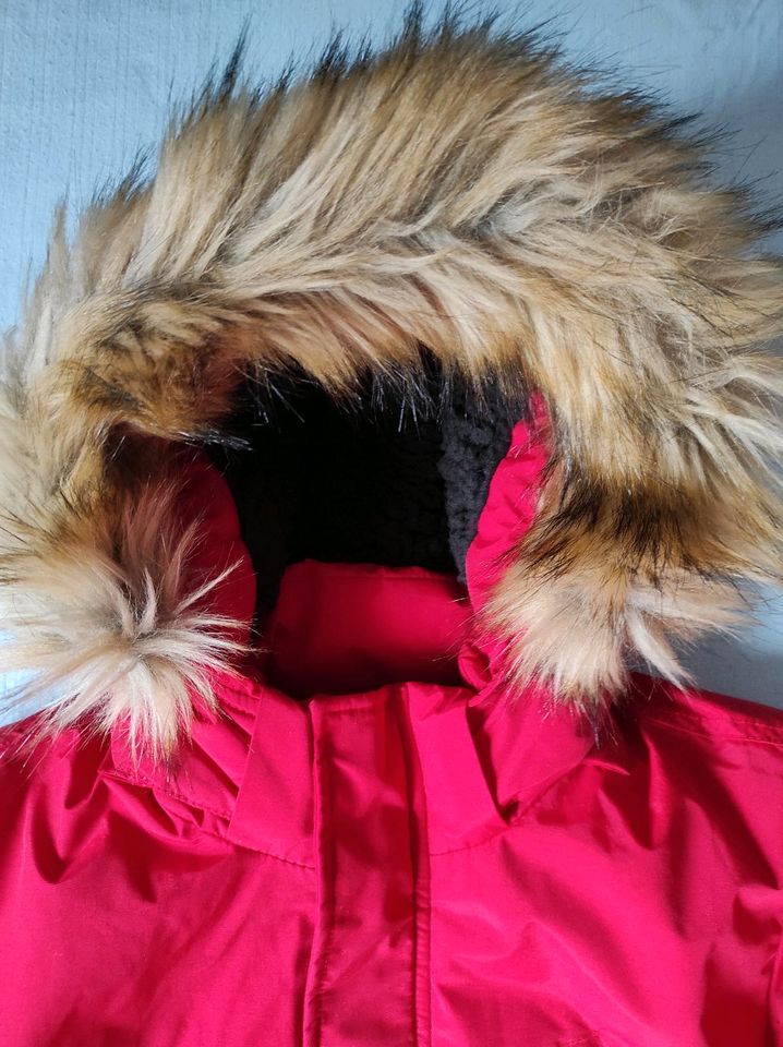 Jungen- Parka, Winterjacke, Cars Jeans, 170-176, rot, wie Neu in Oetzen