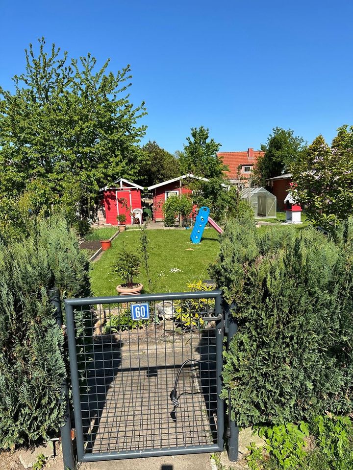 Garten / Schrebergarten in Schleswig