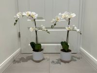 Künstliche Orchideen 60 cm weiß | Premium & authentische Qualität Wandsbek - Hamburg Marienthal Vorschau