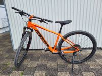 CUBE ACID 29“ MTB / Hardtail / 17" Baden-Württemberg - Ulm Vorschau