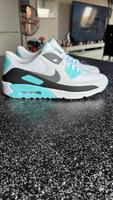 Nike Air Max 90 neu ungetragen Sachsen-Anhalt - Dessau-Roßlau Vorschau