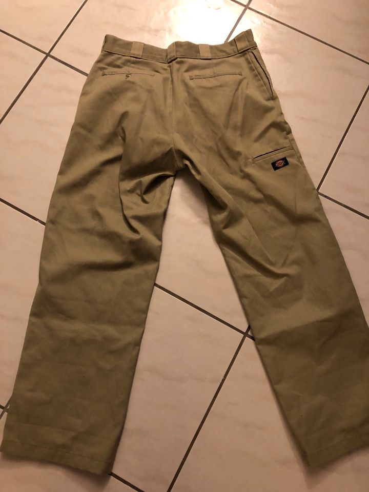 Dickies Hose Beige in Kupferzell