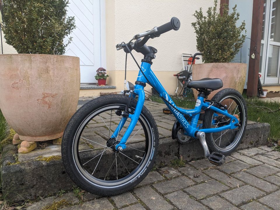 Pyro Sixteen Kaniabikes Kinderfahrrad 16 Zoll blau in Chemnitz