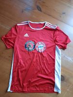 Adidas FC Bayern München Paulaner Trikot Gr. L Kreis Pinneberg - Heidgraben Vorschau