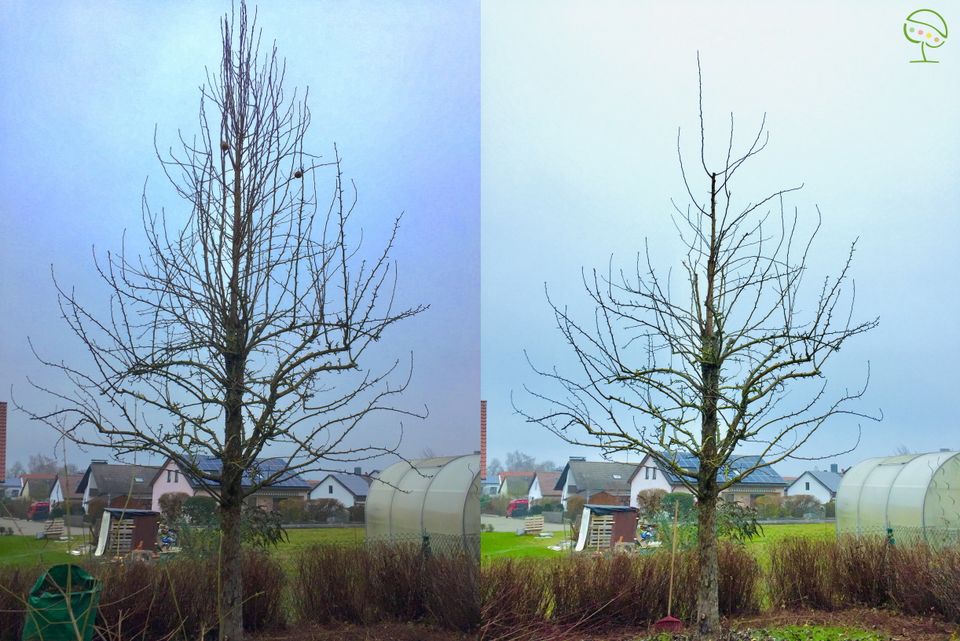 Gartenpflege, kleine Gartenbauarbeiten in Hohenwart