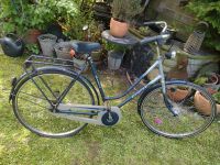 Gazelle Hollandfahrrad 28 Zoll Rheinland-Pfalz - Trier Vorschau