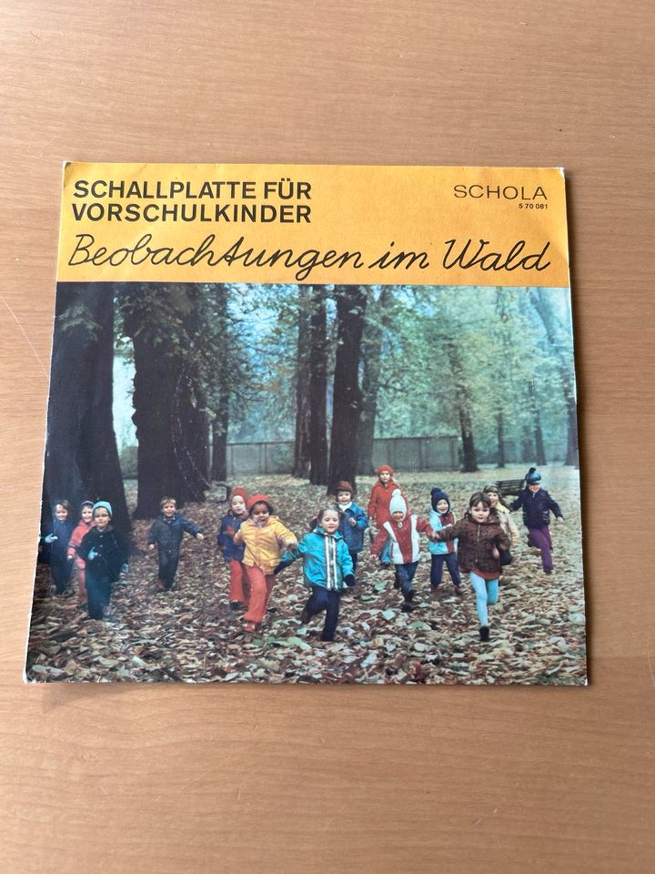 Beobachtungen im Wald , Schola in Finsterwalde