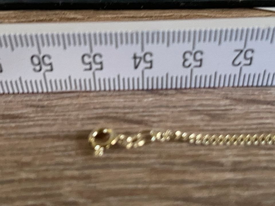 Lange Kette Gold 333 55 cm sehr guter Zustand Panzerkette 4,5 in Bischofswerda