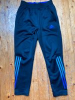 Adidas Jogginghose 152 Blau Sachsen - Penig Vorschau