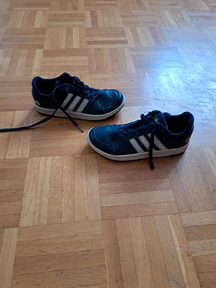 gebr. Adidas Sneaker Gr. 34 in blau in Aachen