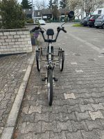 PFAU-TEC Dreirad Torino E-Bike 7-Gang Hessen - Gernsheim  Vorschau