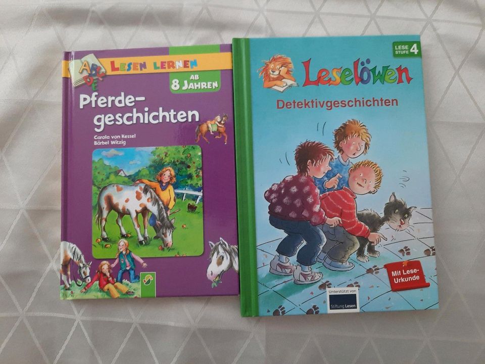2 Bücher, Pferde und Detektivgeschichten in Nördlingen