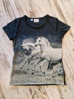 Schönes T-Shirt Pferde bonprix 128 134 Niedersachsen - Nörten-Hardenberg Vorschau