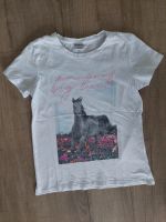 Pageone young T-Shirt, Pferd, Gr. 146/152, guter Zustand - 1,50€ Baden-Württemberg - Walddorfhäslach Vorschau