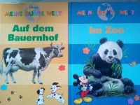 Lernbücher, Kinderbücher, Disney, 2er Leipzig - Engelsdorf Vorschau