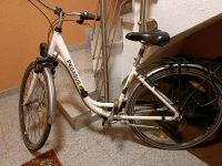 Pegasus Damenrad 45cm Hessen - Messel Vorschau