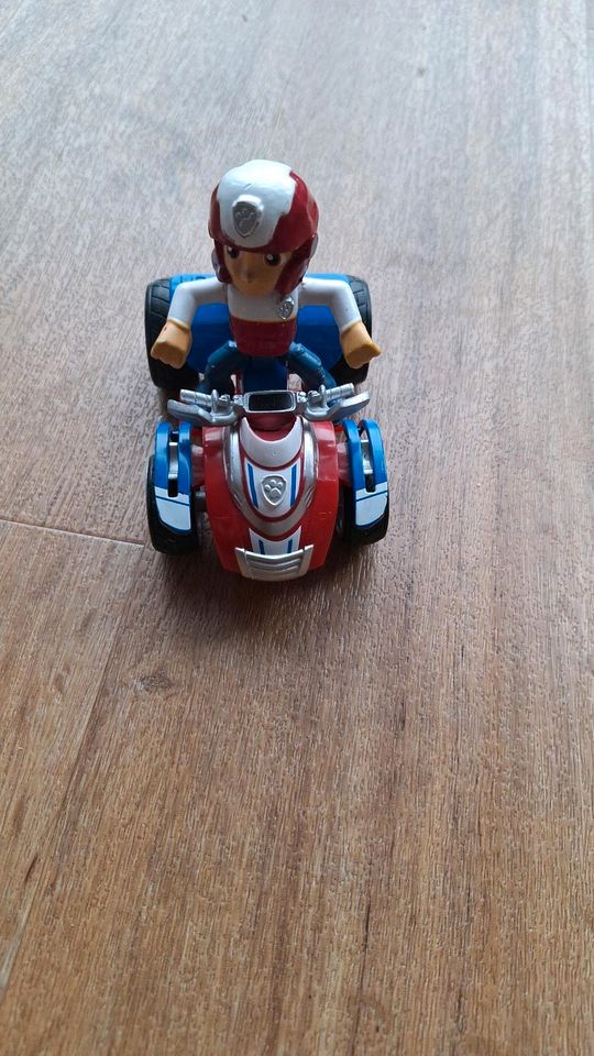 Paw Patroller in Dingelstädt