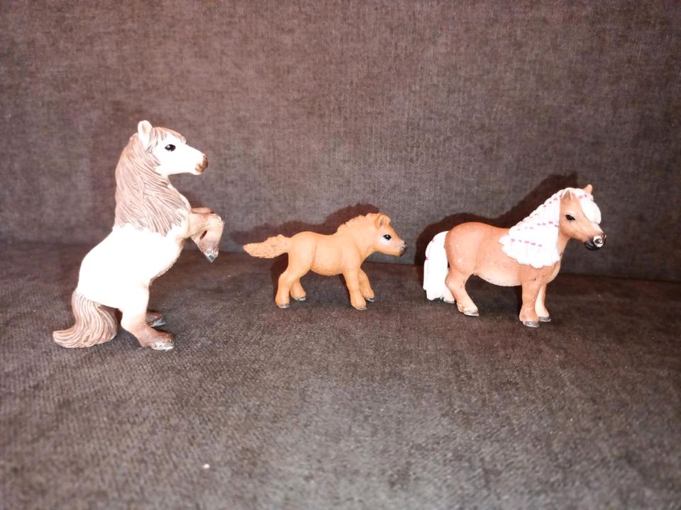 Schleich - Horse Club 41432 - Mini Shetty Familie in Dittelsheim-Heßloch