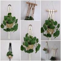 ❤ Makramee ab 9€ Wandbehang Macrame Zimmerpflanzen Blumenampel Baden-Württemberg - Burgrieden Vorschau