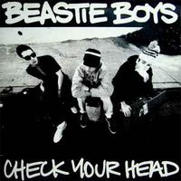 BEASTIE BOYS "CHECK YOUR HEAD" VINYL LP Nordrhein-Westfalen - Solingen Vorschau