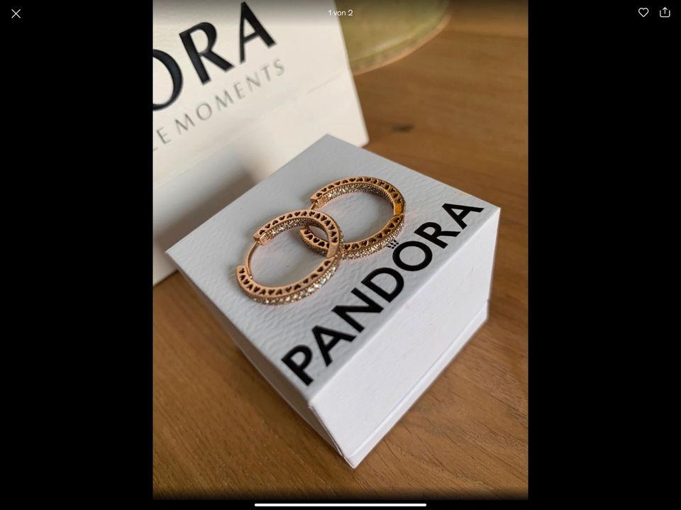 Pandora Ohrringe Gold  Neu in Magdeburg