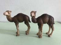 Schleichtiere 2er Set Dromedar Düsseldorf - Pempelfort Vorschau