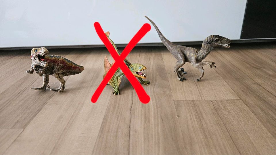 Schleich Dino / Dinosaurier in Essen