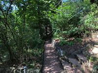 Gartengrundstück in Hanglage nähe Edeldorf in Weiden-Ost Bayern - Weiden (Oberpfalz) Vorschau