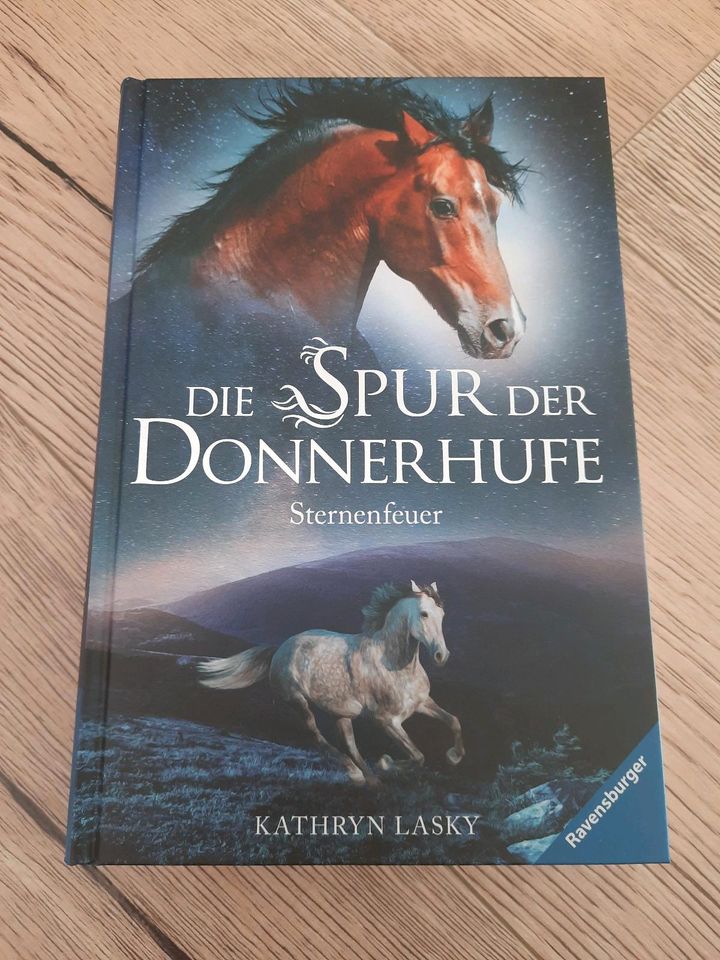 Die Spur der Donnerhufe, 3 Bände | Pferdegeschichten in Frankfurt am Main
