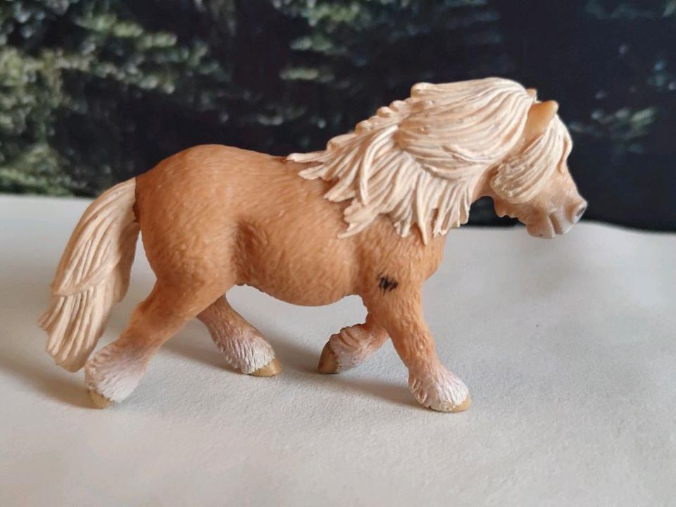 Schleich Scheitland Pony 2004 Sondermodell ❤️ in Ichtershausen