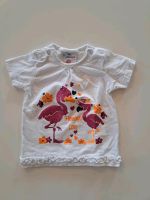 Babykleidung Mädchenkleidung T-Shirt Shirt Gr. 68 Topomini 0,50 € Nordrhein-Westfalen - Hille Vorschau