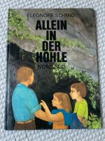 Allein in der Höhle Bilderbuch Vorlesebuch Kinderbuch Buch Niedersachsen - Burgdorf Vorschau