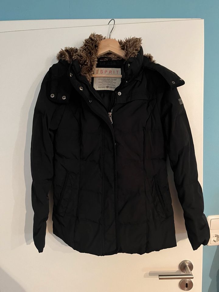 Esprit Winterjacke, Jacke, Gr. 38, M, schwarz in Verl