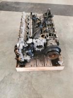 BMW E39 E46 E60/61 Motor  M54 2.5L 192 Ps Hessen - Gießen Vorschau