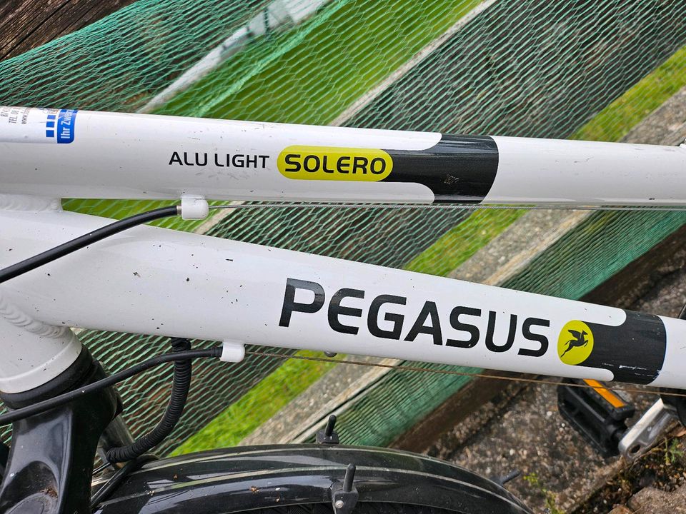 Fahrrad Damen Pegasus in Dietmannsried