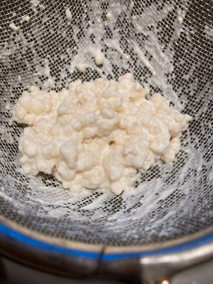 Kefir-Knollen Michkefir in Höttingen