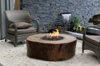 Gardenforma Gas Feuerstelle Aragaz Baumstamm Optik Eco Stone Kreis Ostholstein - Eutin Vorschau