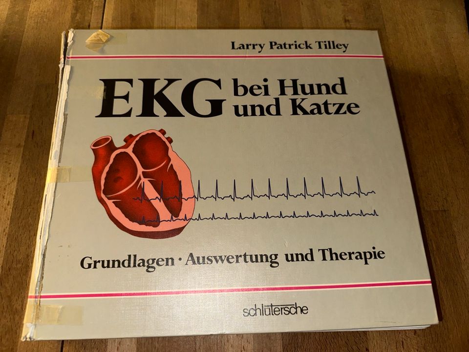 Buch,EKG bei Hund und Katze,Schlütersche in Kappeln