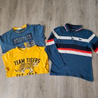 H&M Tom Tailor C&A Langarmshirts Gr. 134 / 140 Tiger Polo Shirts Sachsen-Anhalt - Salzatal Vorschau