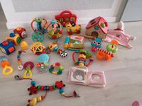 Diverse Babyspielzeug vtech Fisher price auch einzeln kaufen Bergedorf - Hamburg Lohbrügge Vorschau