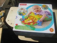 tolles Baby-Spielzeug von Fisher Price Baden-Württemberg - Eimeldingen Vorschau