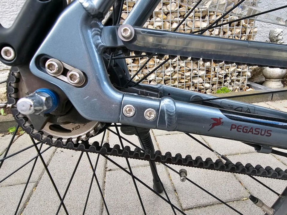 Pegasus EBike Fano E5 RH 55cm mit Brose Motor in Mühlheim am Main